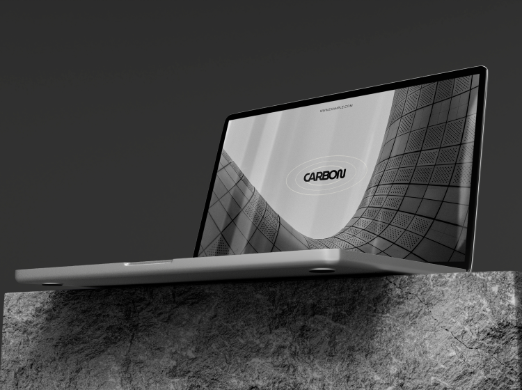 Projects Portfolio Img 1